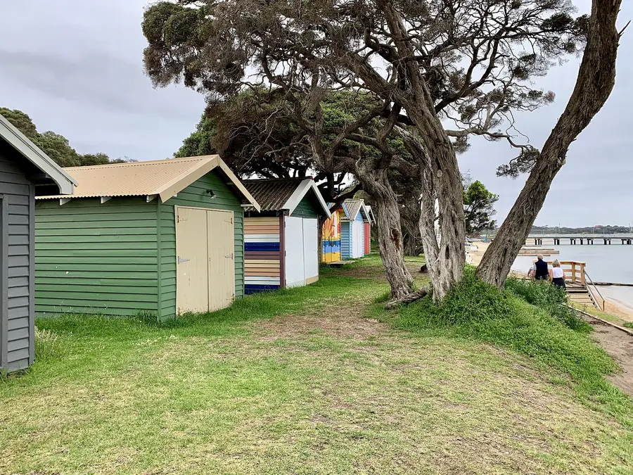 Beach huts under tea trees at Blairgowrie